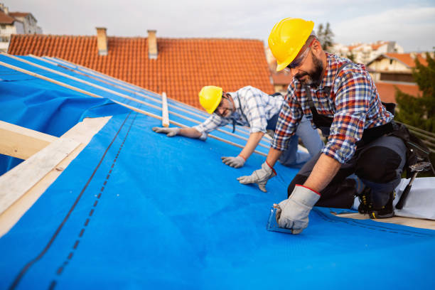 Best Metal Roofing Contractor  in Amherst, TX