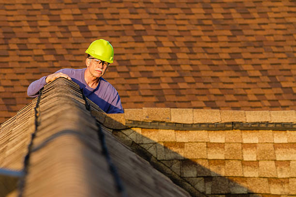 Best Roof Maintenance Services  in Amherst, TX